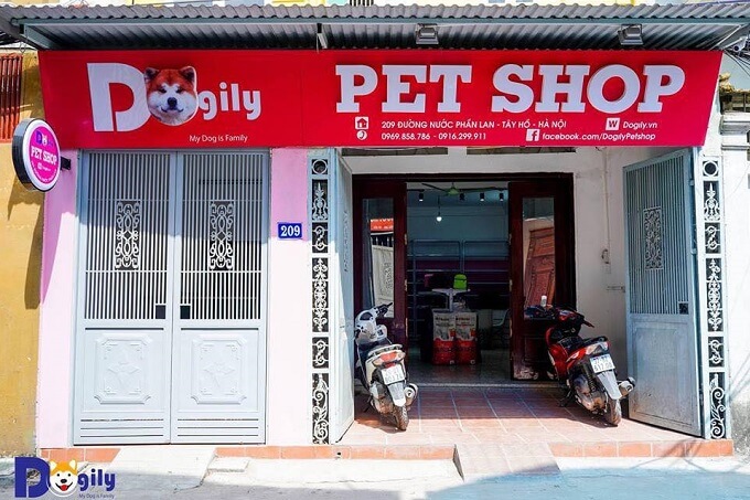 Cửa hàng Dogily Petshop Tây Hồ (Hà Nội).